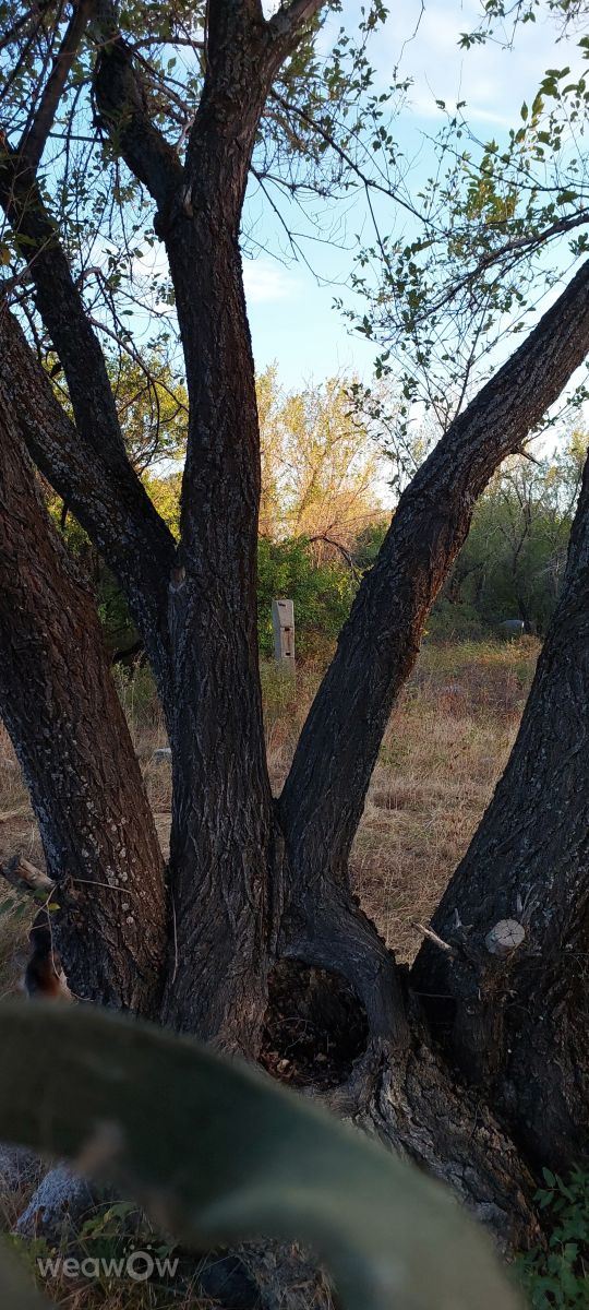 Fotos sobre el clima en Almaty Oblysy. Pronósticos del tiempo con hermosas fotos de Тимур Наурызбаев