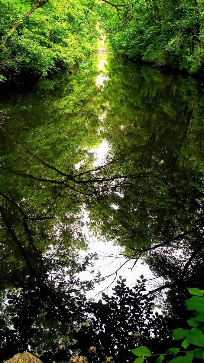 Photos météo à Trykraty. Prévisions météo avec de superbes photos de Сергій Камінський