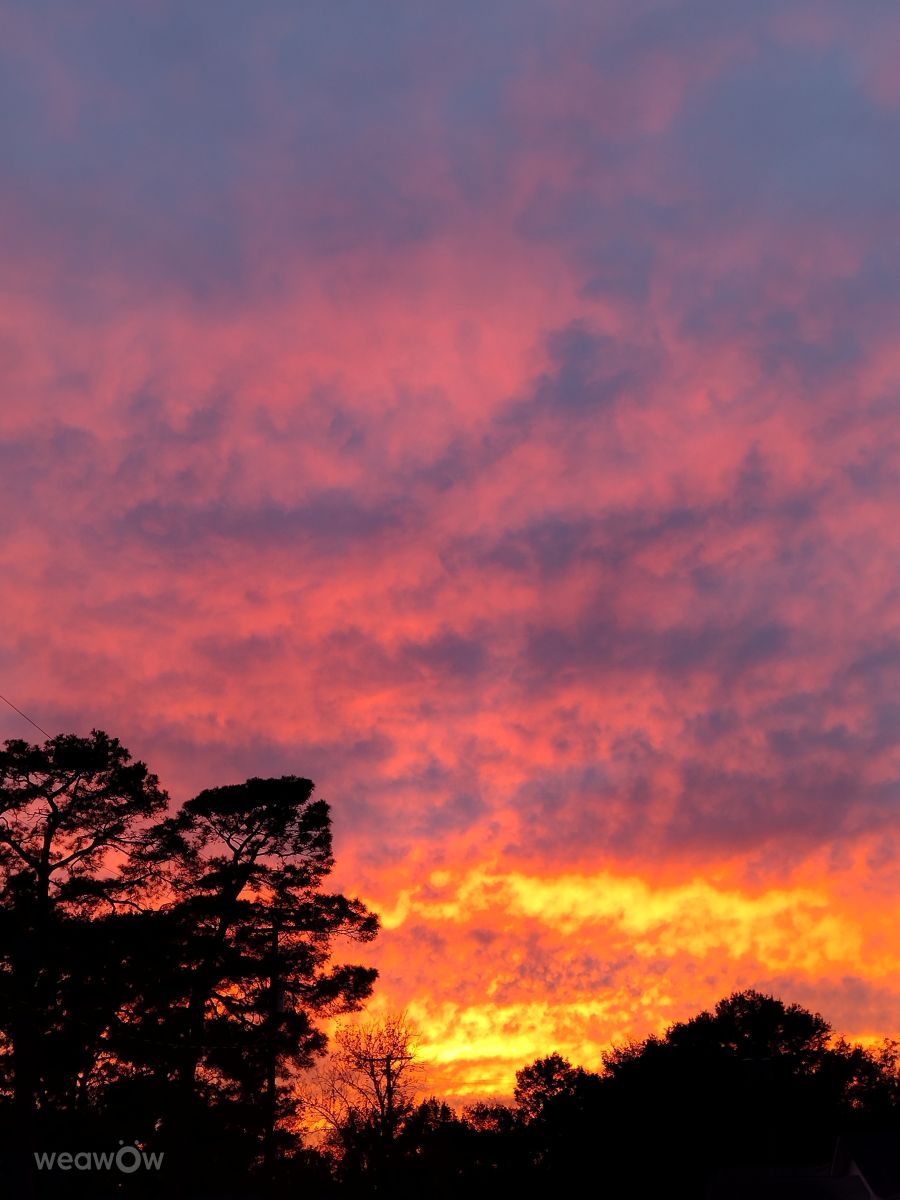阿肯色州的天气照片. 天气预报，带MirandaB精美的照片