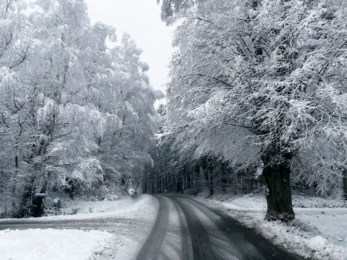 Hình ảnh Thời tiết ở Subcarpathia. Dự báo thời tiết với những bức ảnh đẹp của KAMP