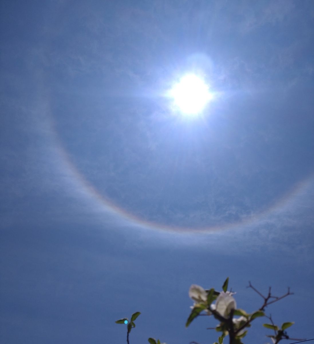 Photographer Wen-ya Huang, Weather Photos in Kaohsiung City - Weawow