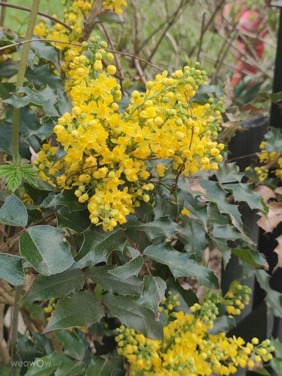 Фотографии Погоды в Ломжа. Прогнозы погоды с чудесными фотографиями, сделанными Ania-12