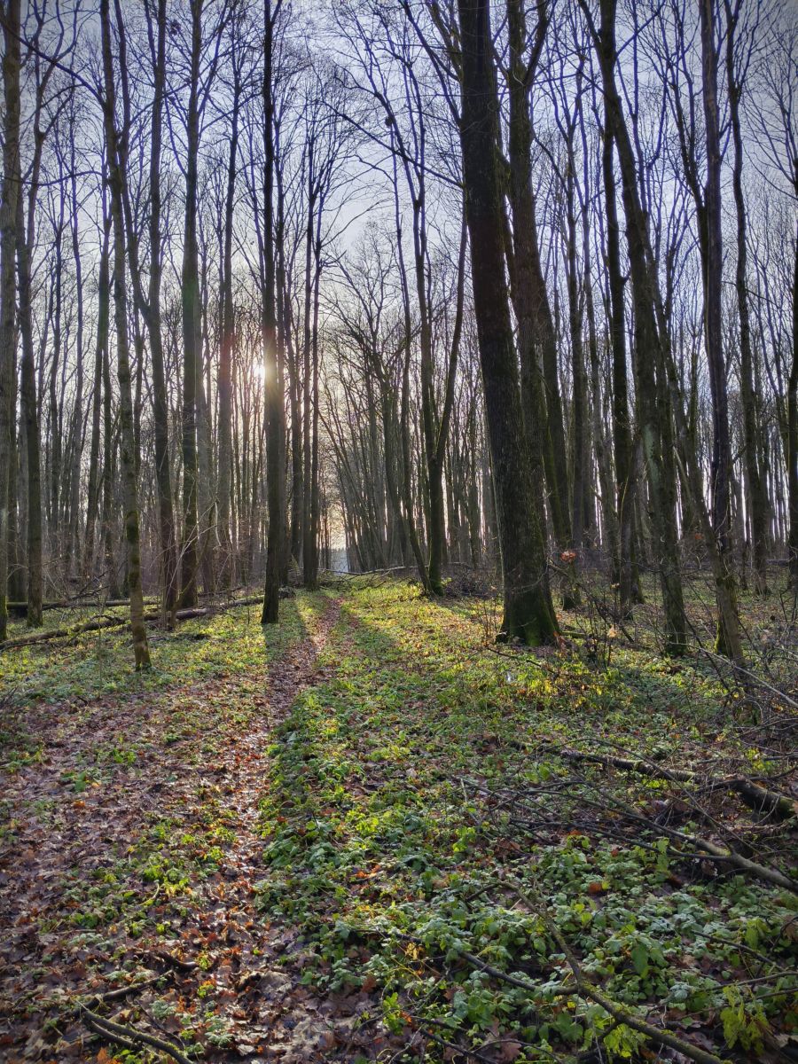 Wetter Photos Tul'skaya Oblast'. Wettervorhersagen mit schönen Fotos von Aleksei