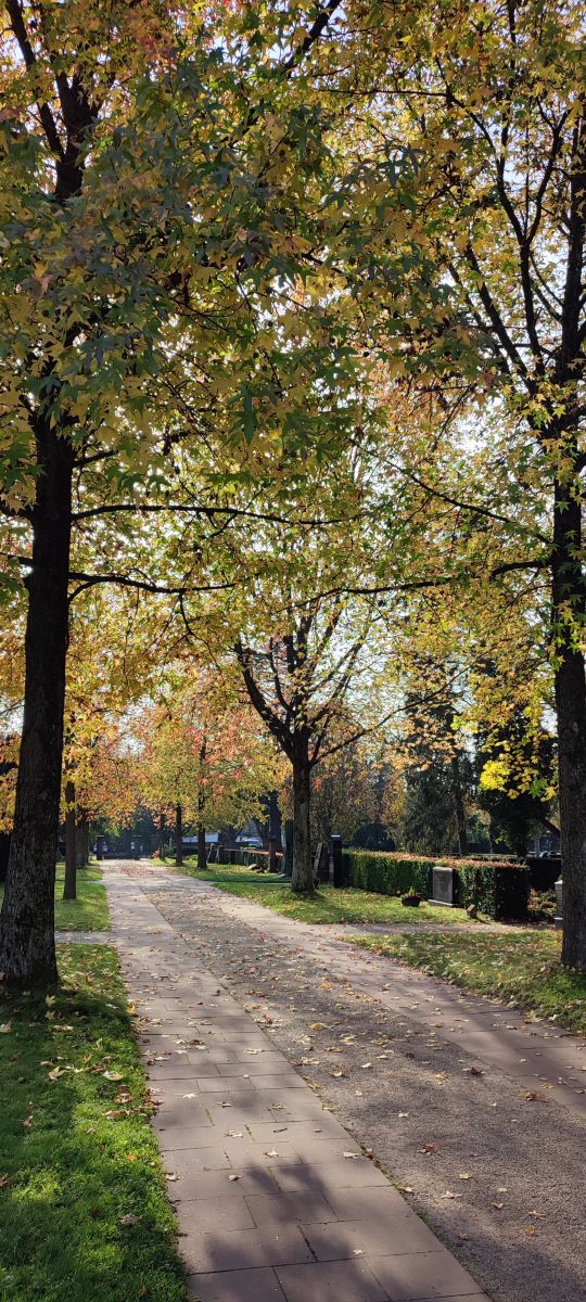 Photographer Tercis, Weather Photos in Ettlingen - Weawow