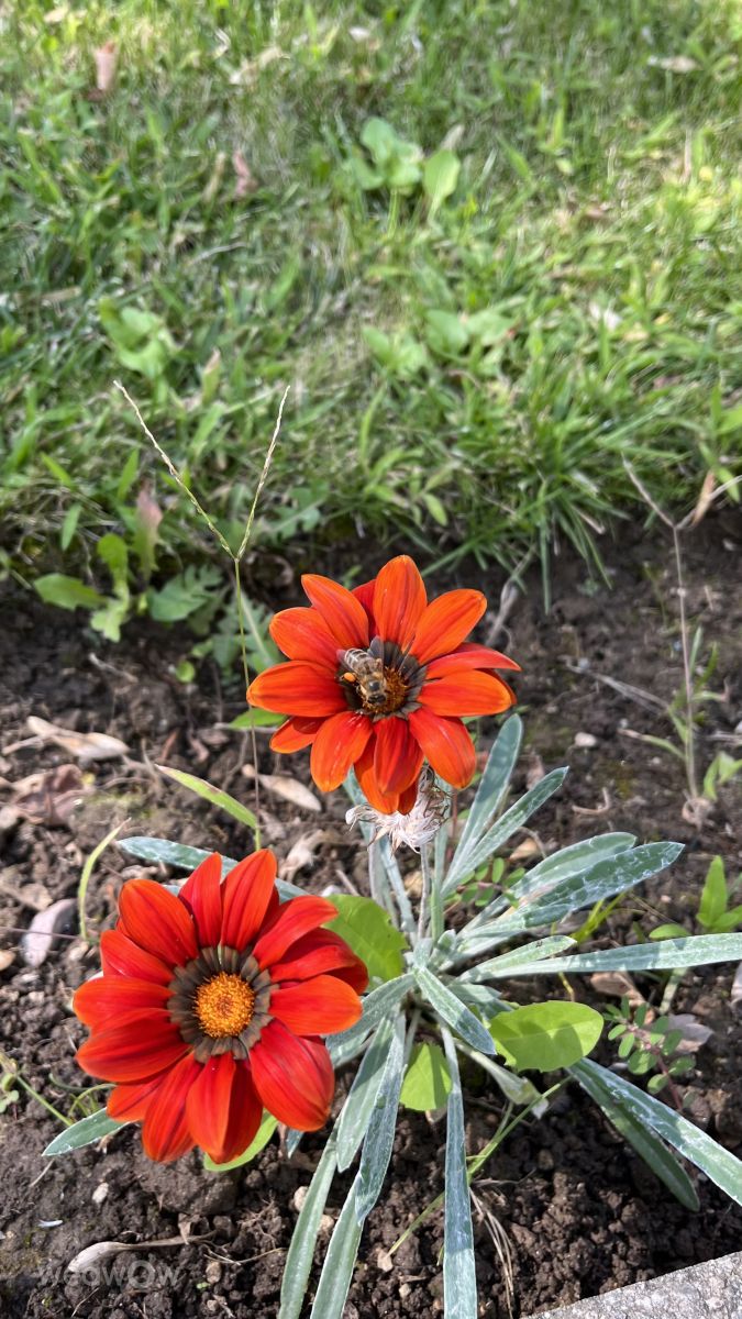 ブラゴエヴグラトの天気写真. Vasskesの美しい写真による天気予報