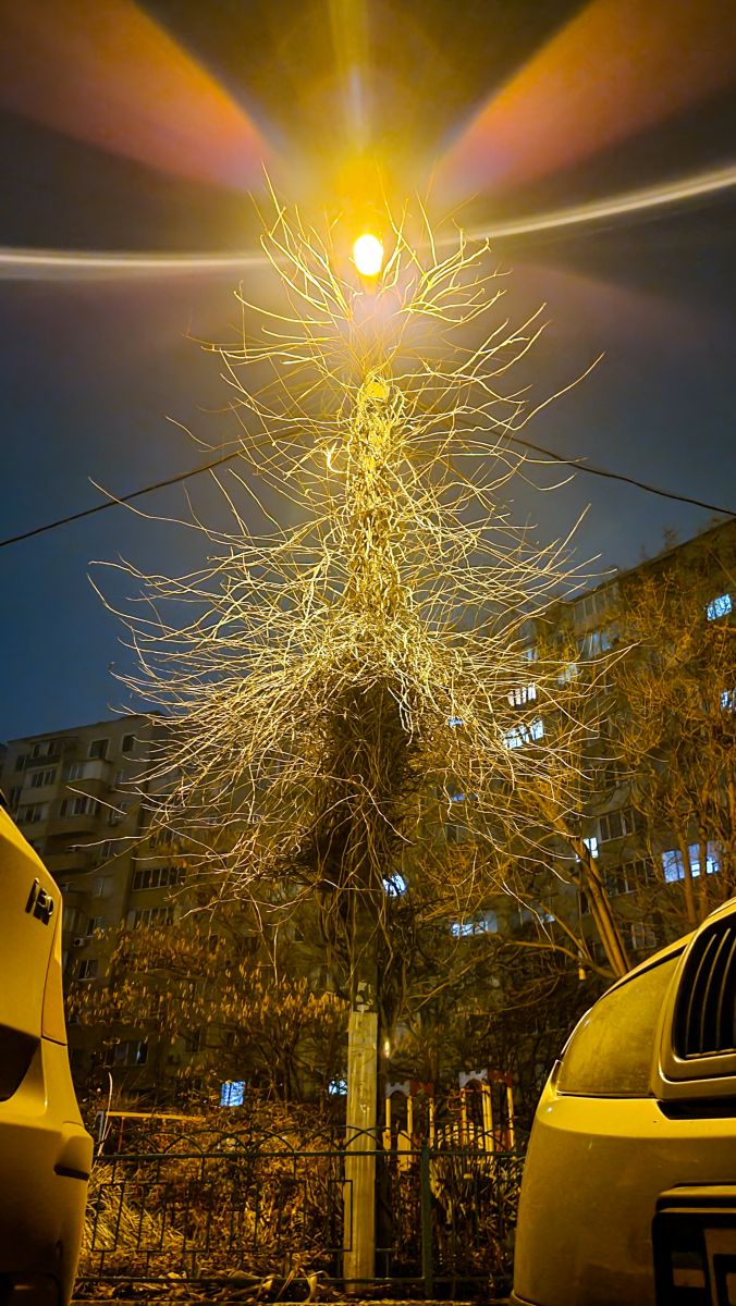 Fotos do tempo em Odesa. Previsões do tempo com lindas fotos de LiliiaRakutina