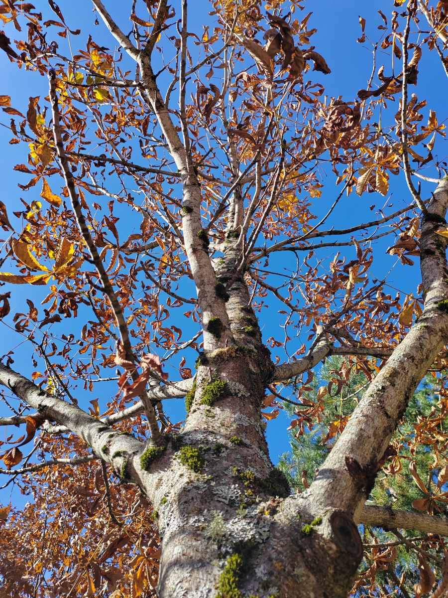 Photos météo à Roza Khutor. Prévisions météo avec de superbes photos de Albert_Smelovtsev