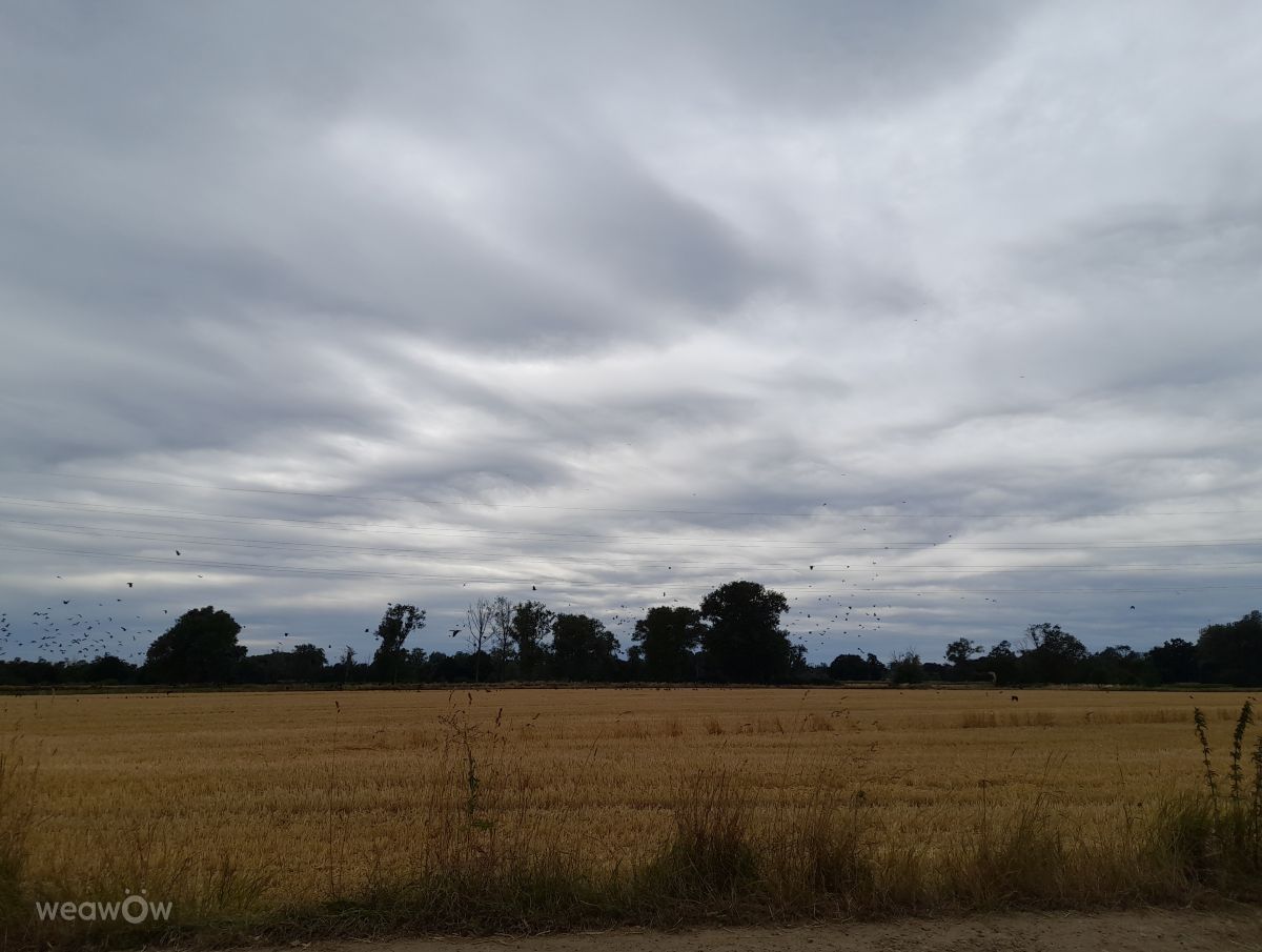 Fotos sobre el clima en Maasmechelen. Pronósticos del tiempo con hermosas fotos de Liv