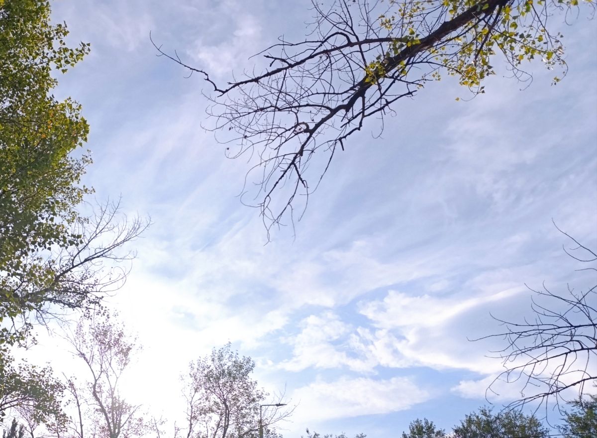 ルハーンシクの天気写真. Анжの美しい写真による天気予報