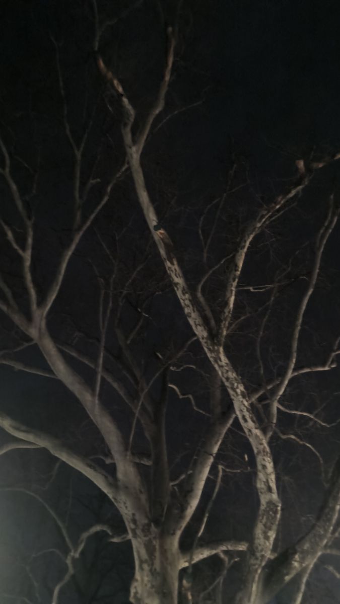 Fotos do tempo em Romênia. Previsões do tempo com lindas fotos de YanBog