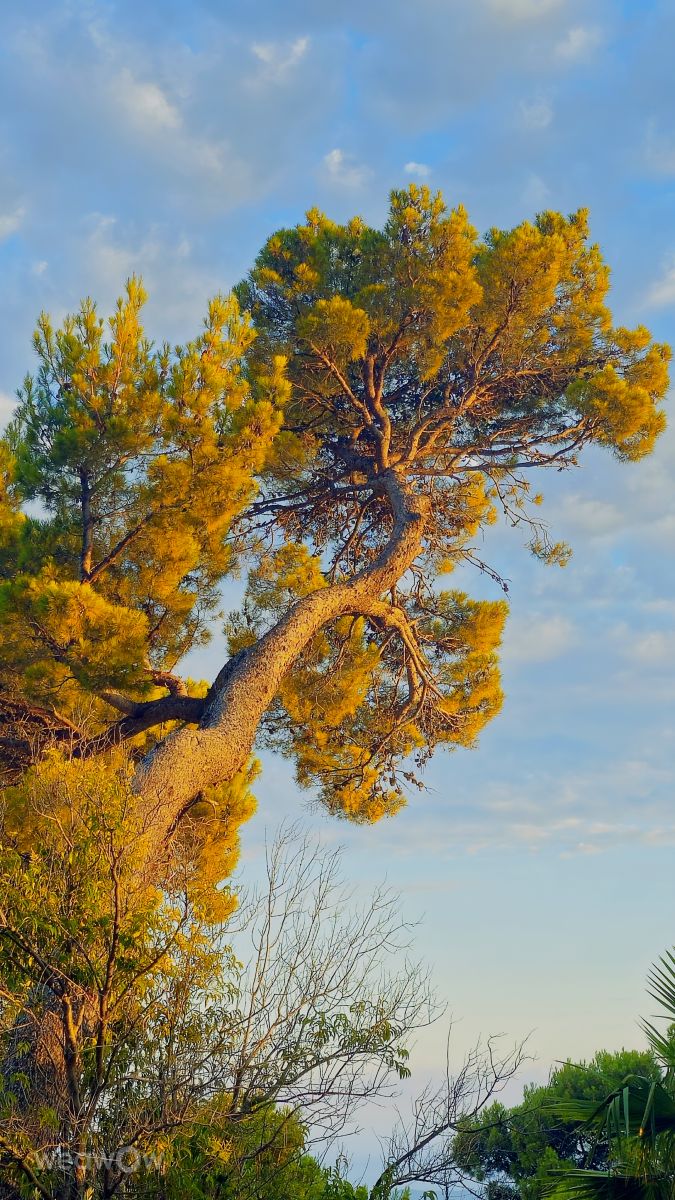 Weather forecasts with beautiful photos by MR