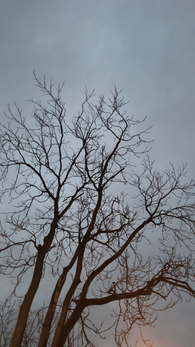 Fotos do tempo em Romênia. Previsões do tempo com lindas fotos de YanBog