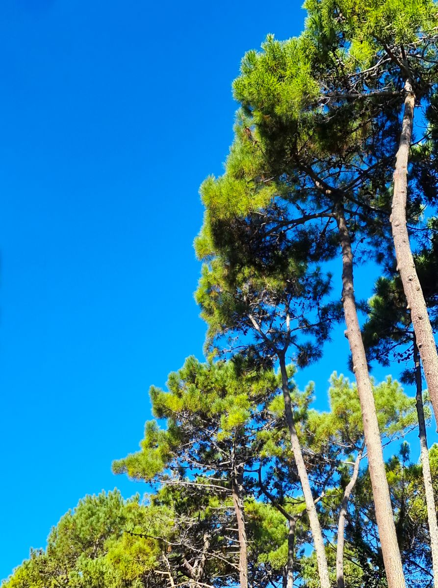 Weather Photos in Buenos Aires. Weather forecasts with beautiful photos by Franexr