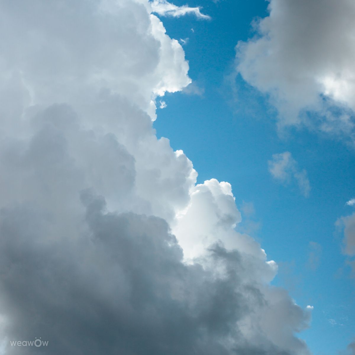 Fotos sobre el clima en Batum. Pronósticos del tiempo con hermosas fotos de dabaevd