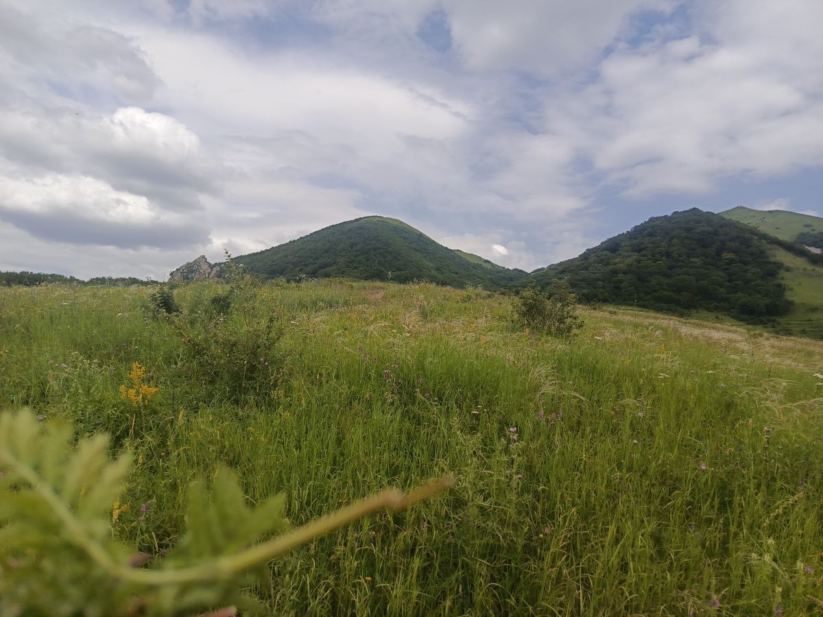 Weather Photos in Pyatigorsk. Weather forecasts with beautiful photos by Андрей_Медведский