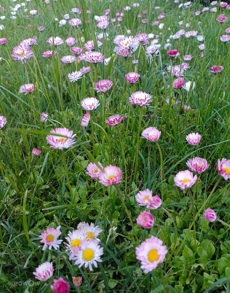 Фотографии Погоды в Ломжа. Прогнозы погоды с чудесными фотографиями, сделанными Ania-12