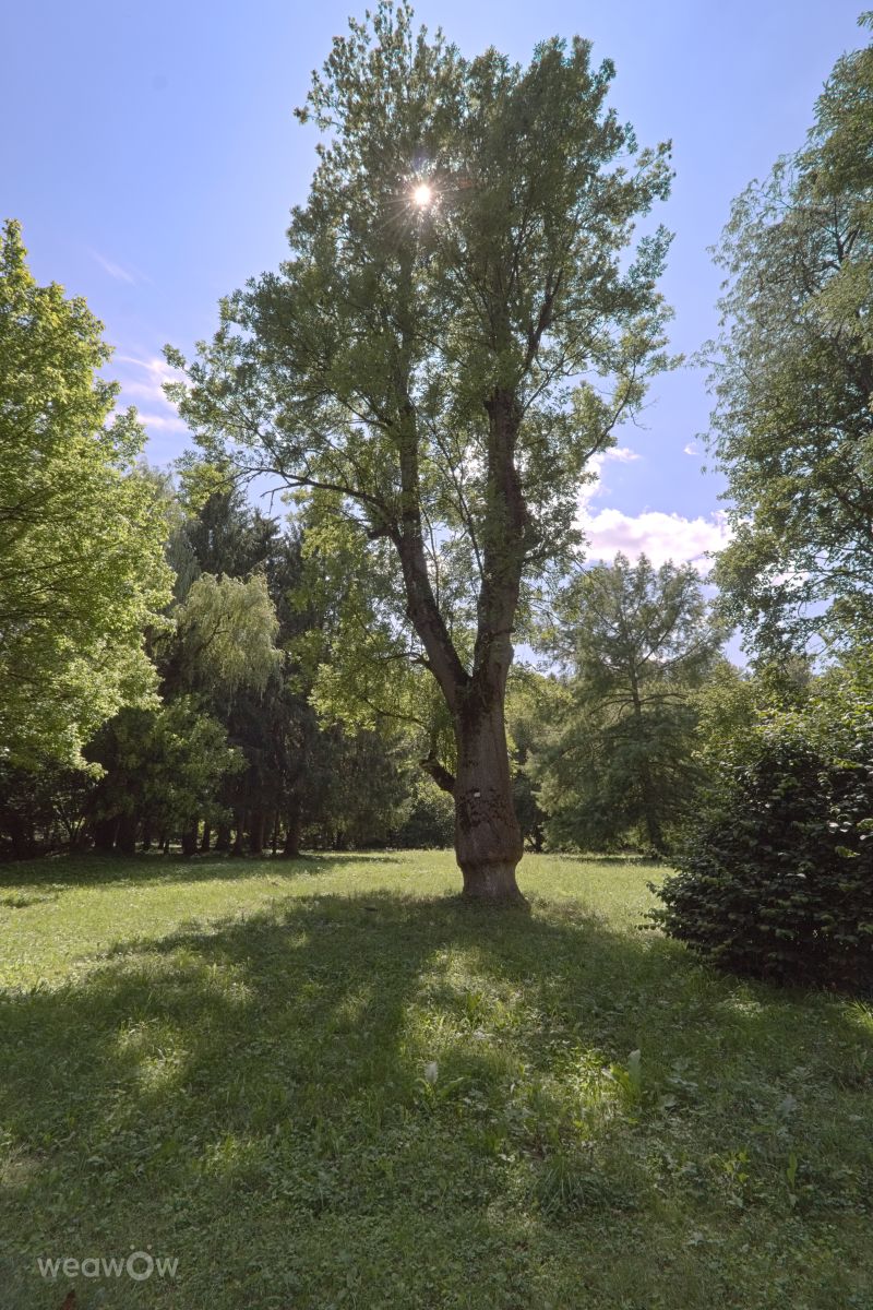 Weather Photos in Romania. Weather forecasts with beautiful photos by roli