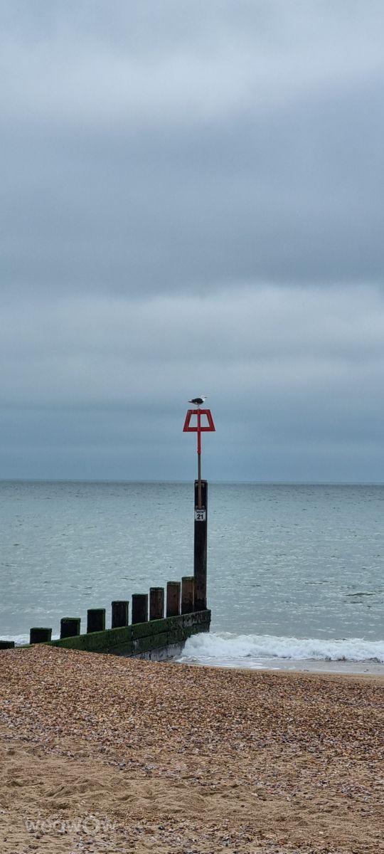 Photographer DaB, Weather Photos in Bournemouth - Weawow
