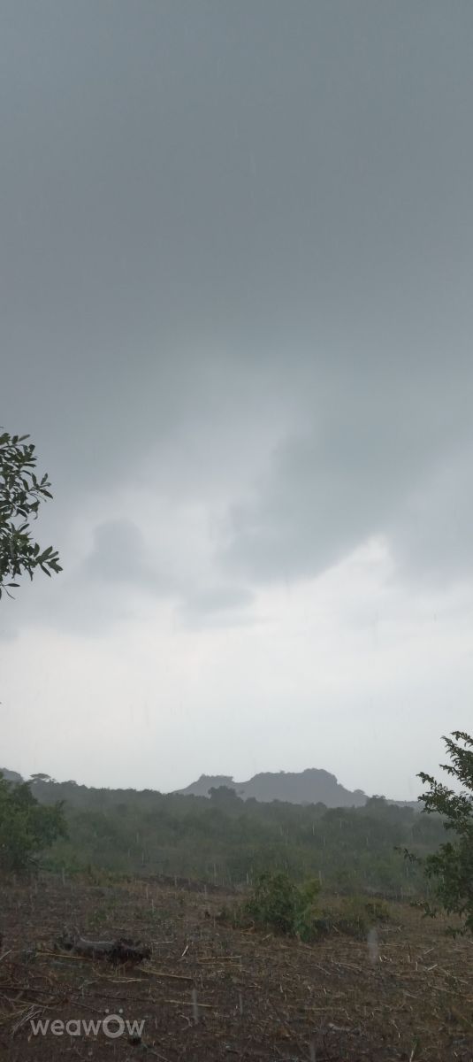 Fotos do tempo em Quênia. Previsões do tempo com lindas fotos de 41730108105