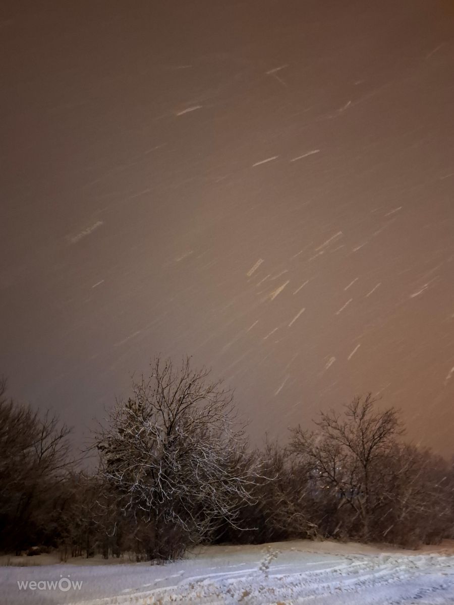 Photographer Iryna, Weather Photos in Kharkiv - Weawow