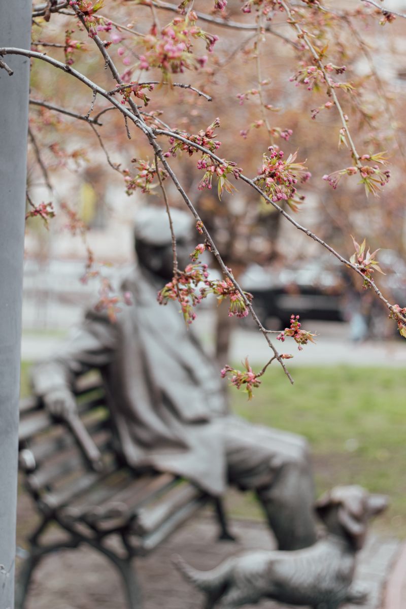 Photographer _veronikatis_, Weather Photos in Khreshchatyk - Weawow