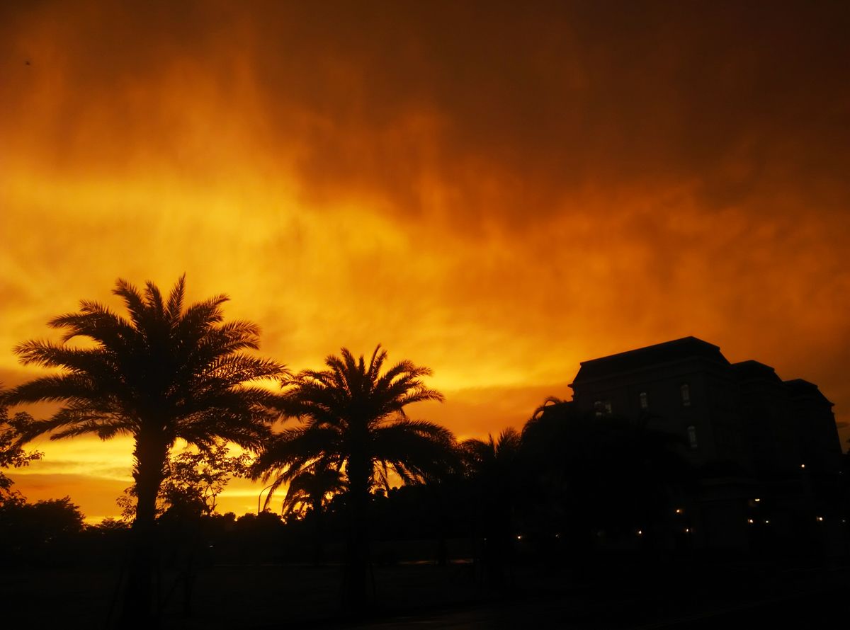 Photographer Tch, Weather Photos in Kaohsiung City - Weawow