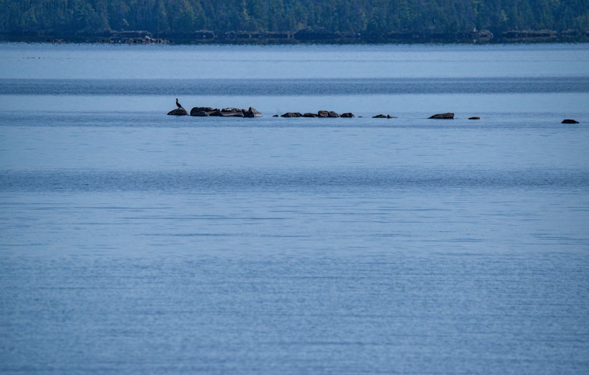 Weather Photos in Rainy Lake. Weather forecasts with beautiful photos by krantzjh