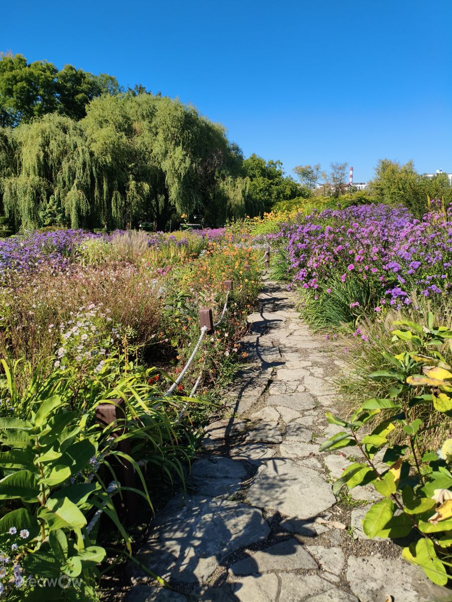 Fotos sobre el clima en Municipiul Chisinau. Pronósticos del tiempo con hermosas fotos de InnaMoon