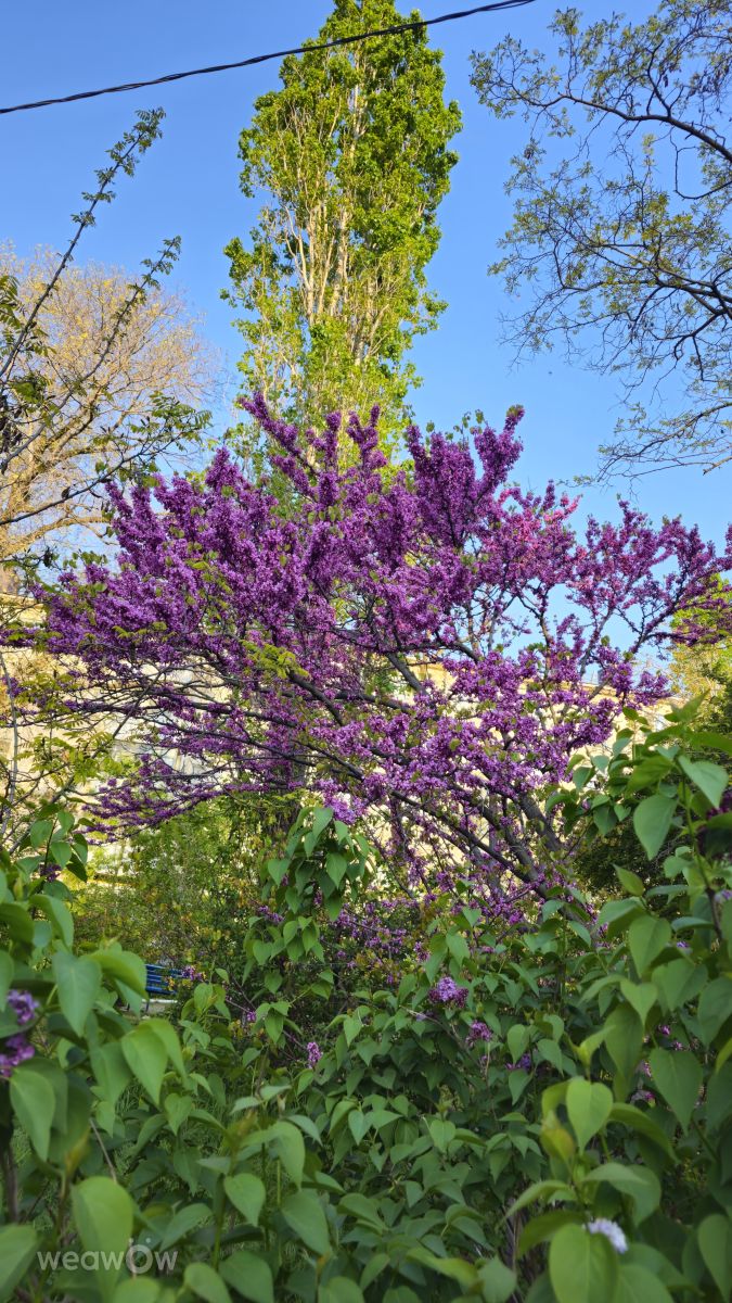 Wetter Photos Noworossijsk. Wettervorhersagen mit schönen Fotos von Шулико