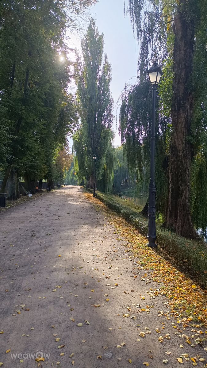 Фотографии Погоды в Пултуск. Прогнозы погоды с чудесными фотографиями, сделанными MarcinZaj