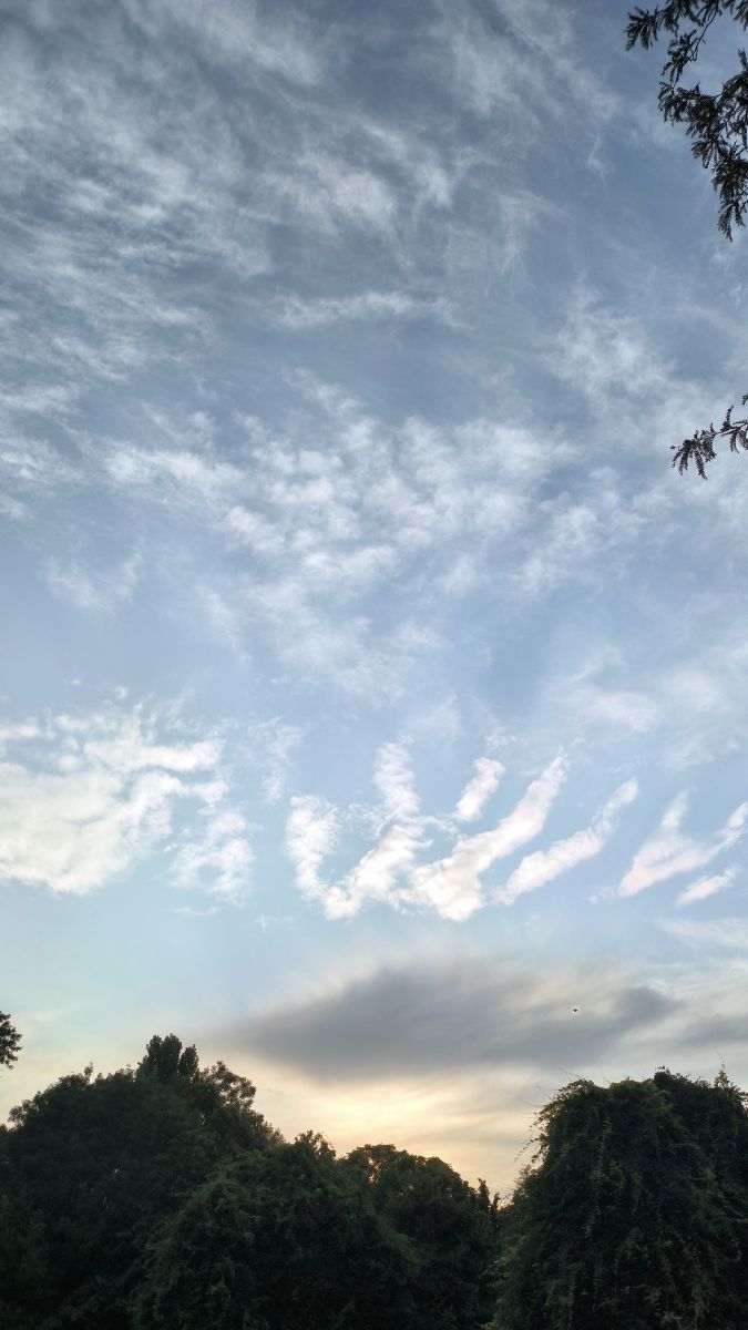Weather forecasts with beautiful photos by YanBog