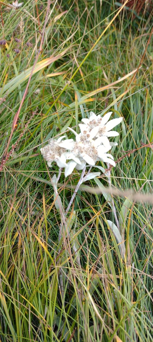 Hình ảnh Thời tiết ở Romania. Dự báo thời tiết với những bức ảnh đẹp của Mikaella