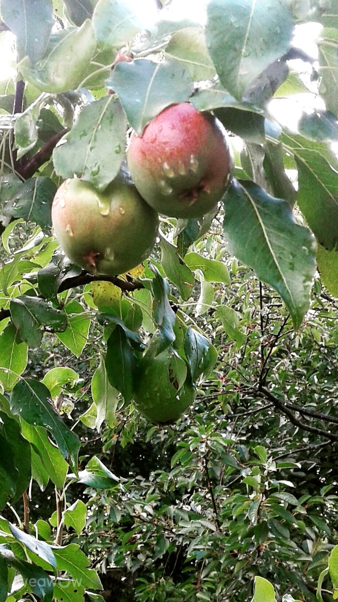 Photographer urashm, Weather Photos in Khmelnytskyi - Weawow