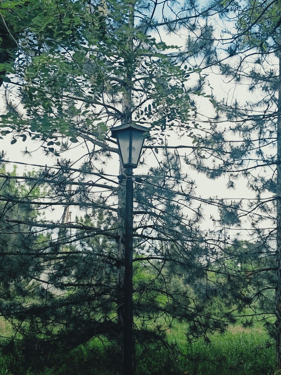 Weather Photos in Volgogradskaya Oblast'. Weather forecasts with beautiful photos by Oksana11