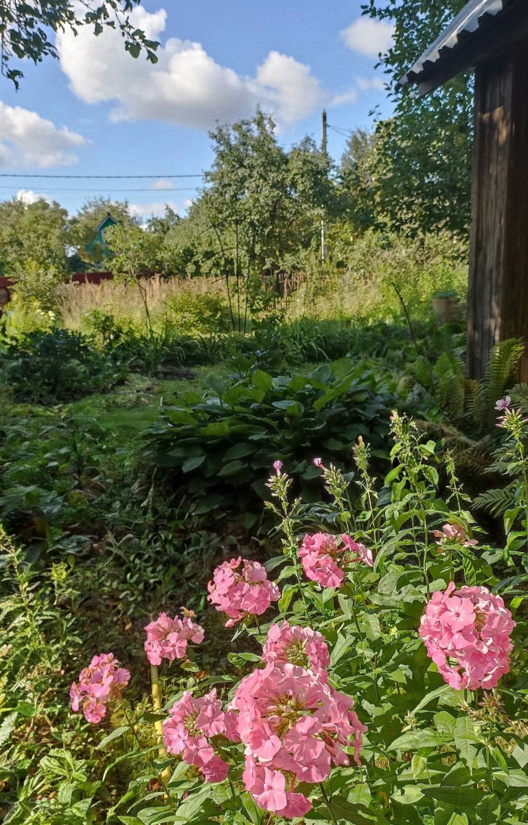 Fotos do tempo em Moscow Oblast. Previsões do tempo com lindas fotos de 19Larisa46