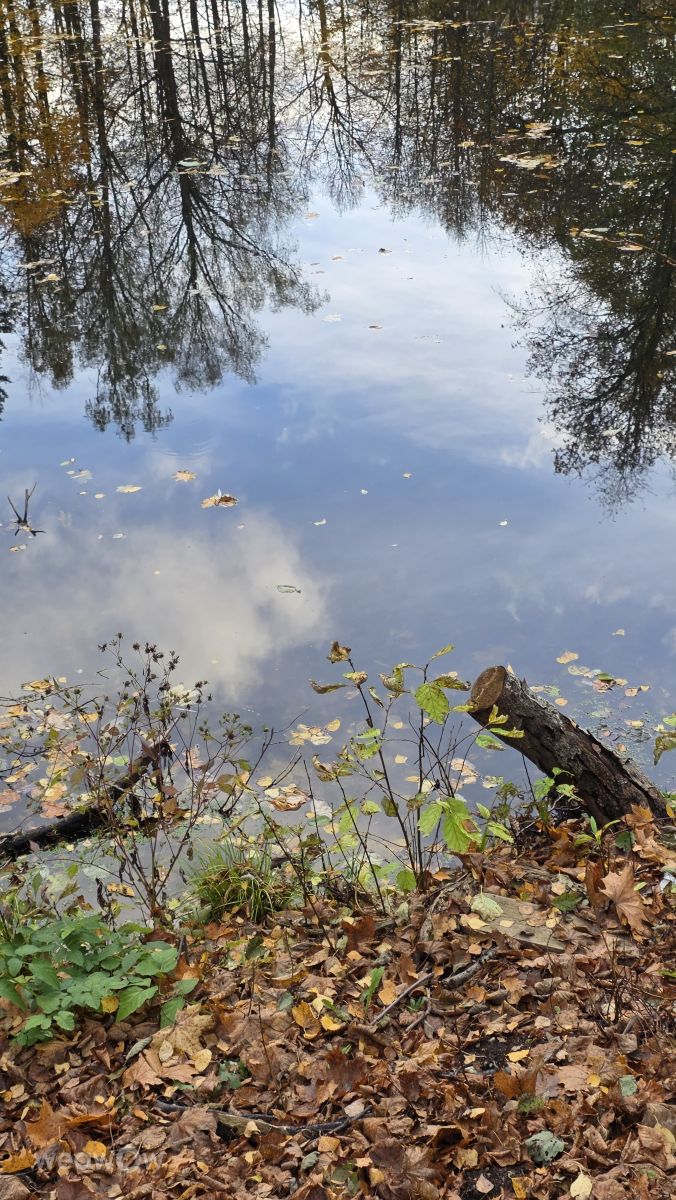 Hình ảnh Thời tiết ở Moscow Oblast. Dự báo thời tiết với những bức ảnh đẹp của Stroganov_4