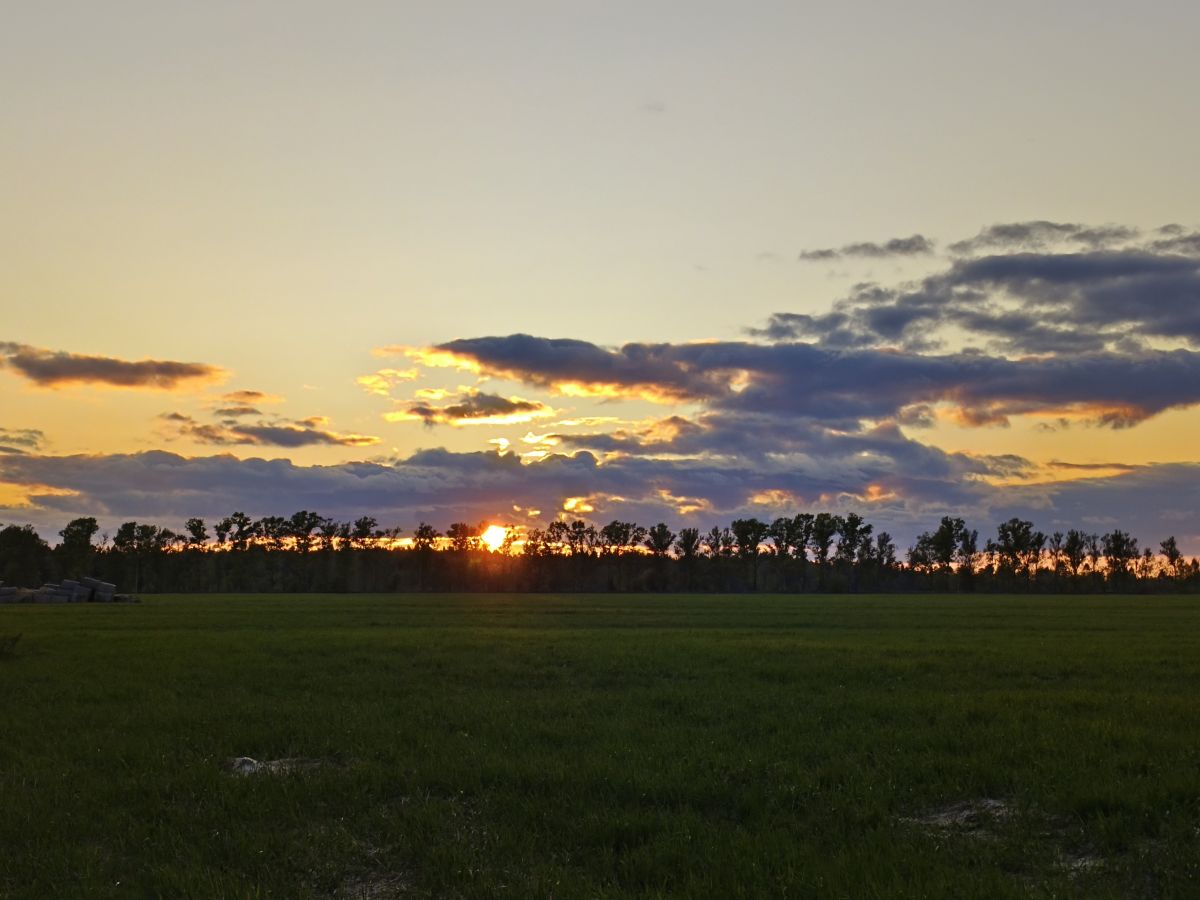 Weather Photos in Kaluga Oblast. Weather forecasts with beautiful photos by Aleksei