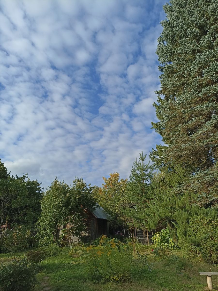 Hình ảnh Thời tiết ở Moscow Oblast. Dự báo thời tiết với những bức ảnh đẹp của 19Larisa46