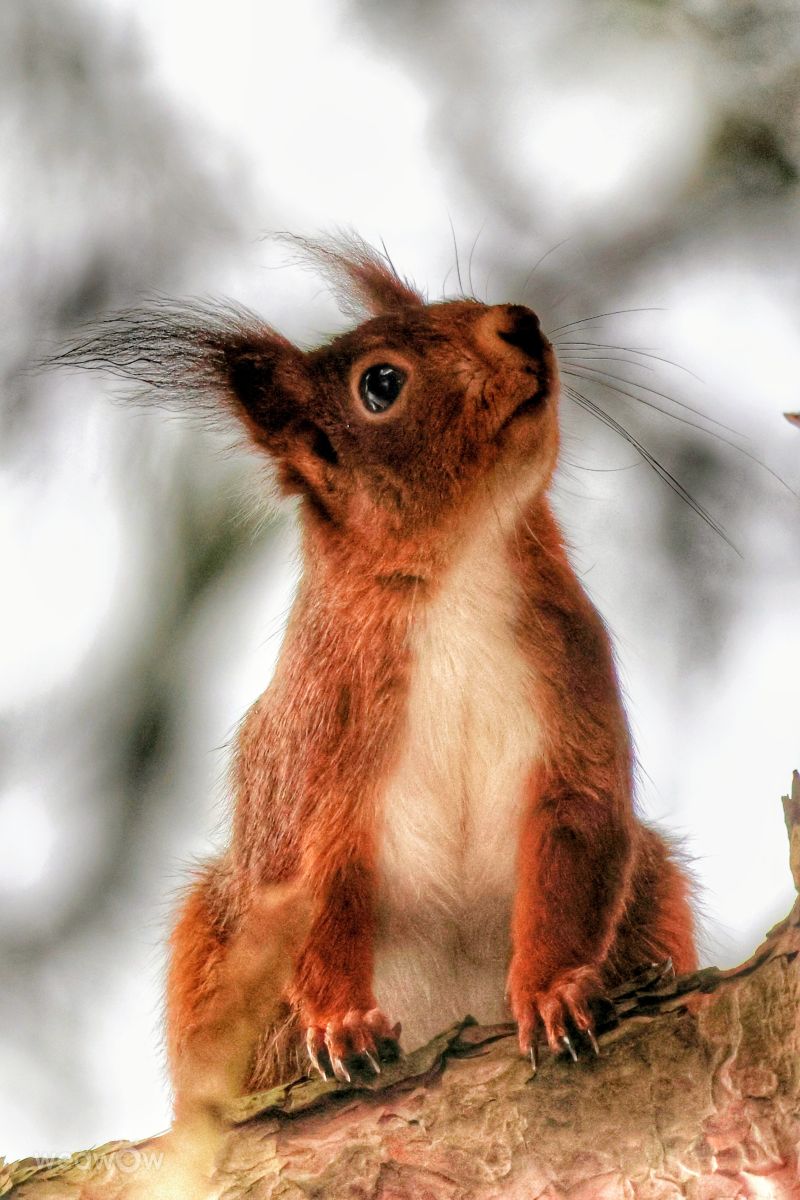 Weather Photos in Wellinghofen. Weather forecasts with beautiful photos by Lotti5507