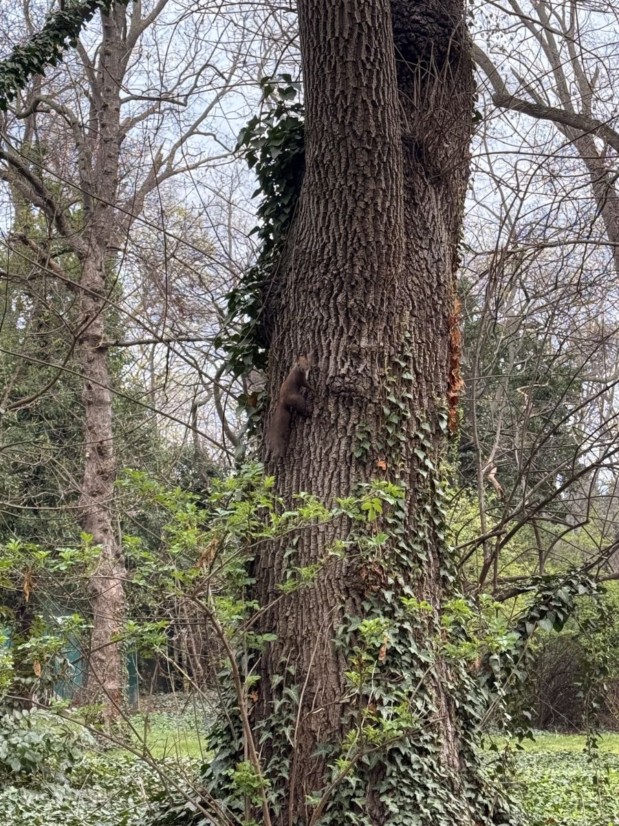 Фотографии Погоды в Варна. Прогнозы погоды с чудесными фотографиями, сделанными Liubomir122-