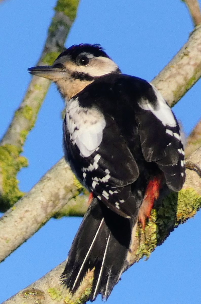 Фотографии Погоды в Dangast. Прогнозы погоды с чудесными фотографиями, сделанными fwerner