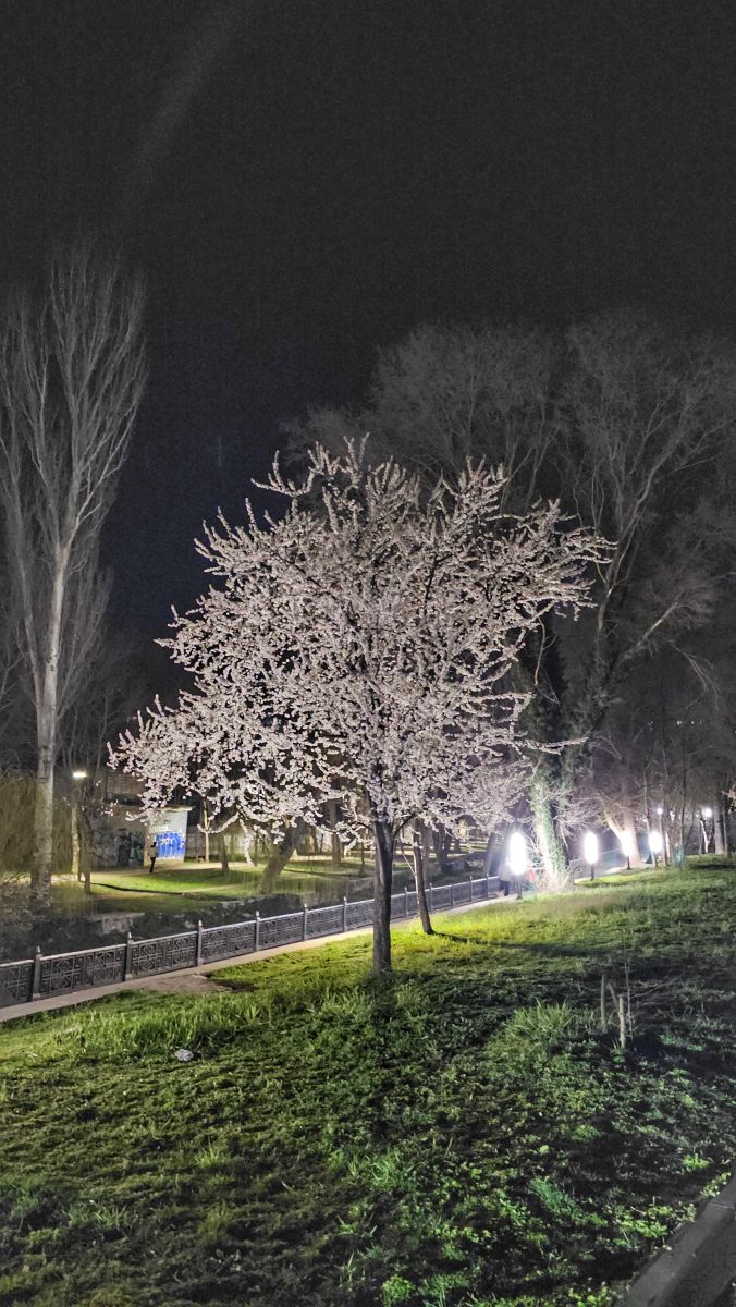 Weather Photos in Simferopol. Weather forecasts with beautiful photos by Djorian