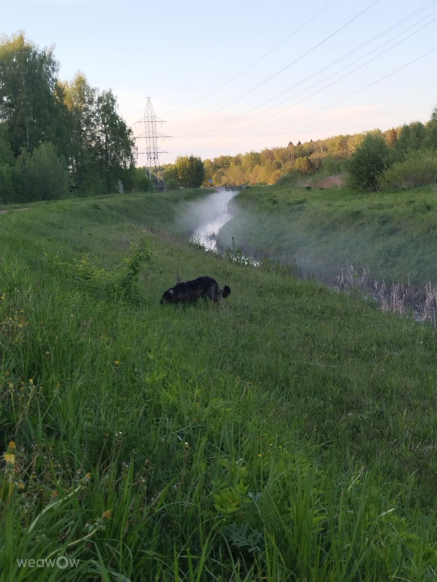 Kostromskaya Oblast'の天気写真. Alex1979の美しい写真による天気予報