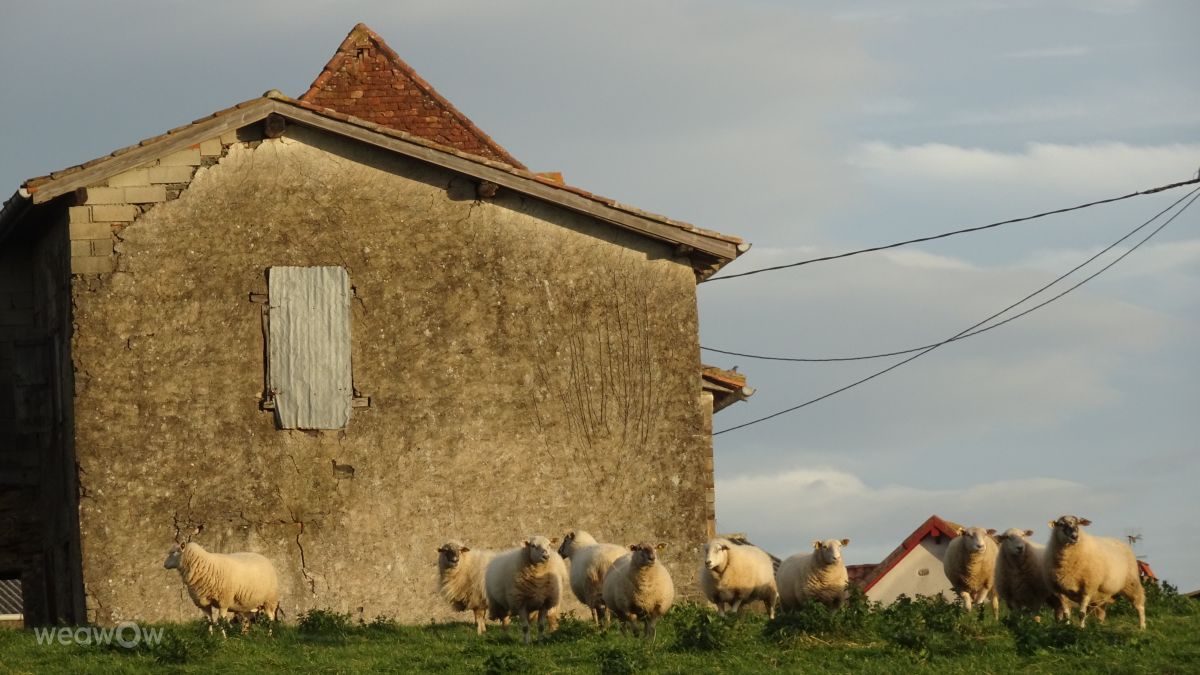 Weather Photos in Domezain-Berraute. Weather forecasts with beautiful photos by Rikar Gartzia