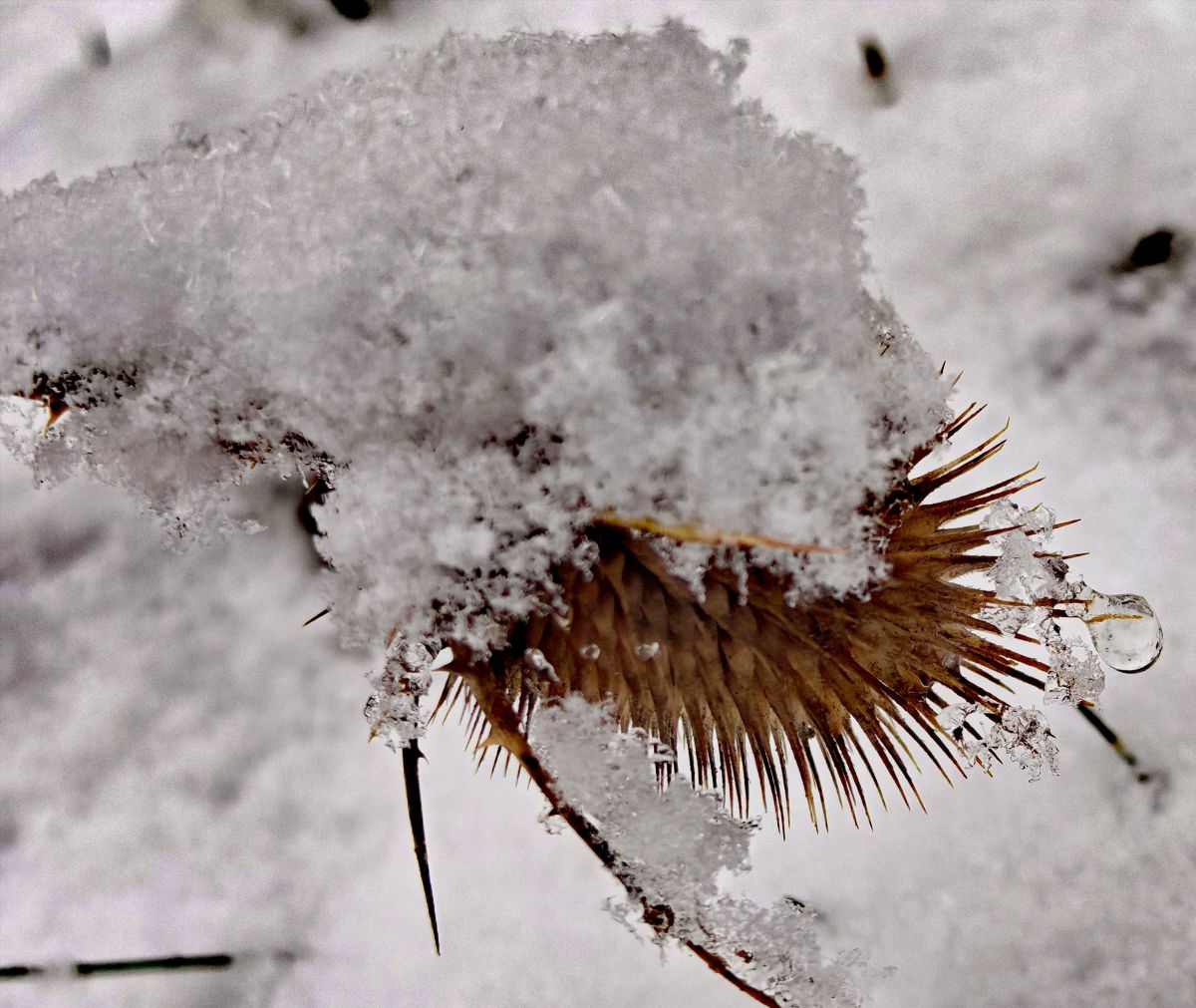 Weather Photos in Prahova. Weather forecasts with beautiful photos by Bley64