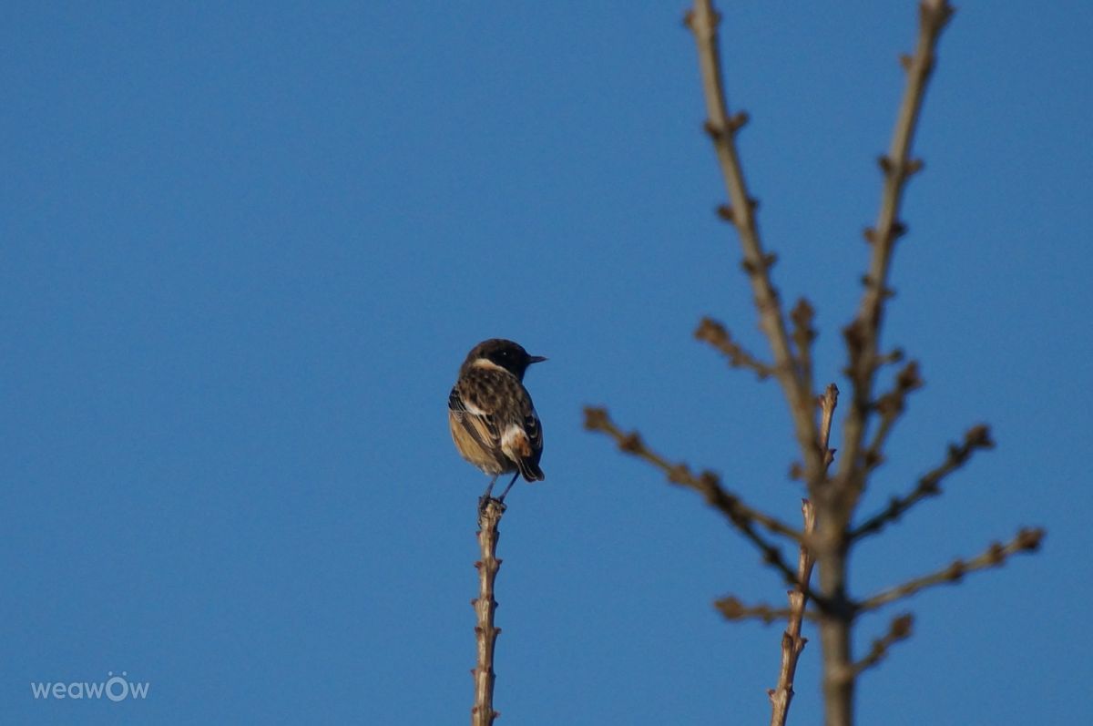 Photographer tony5636, Weather Photos in Calvisson - Weawow