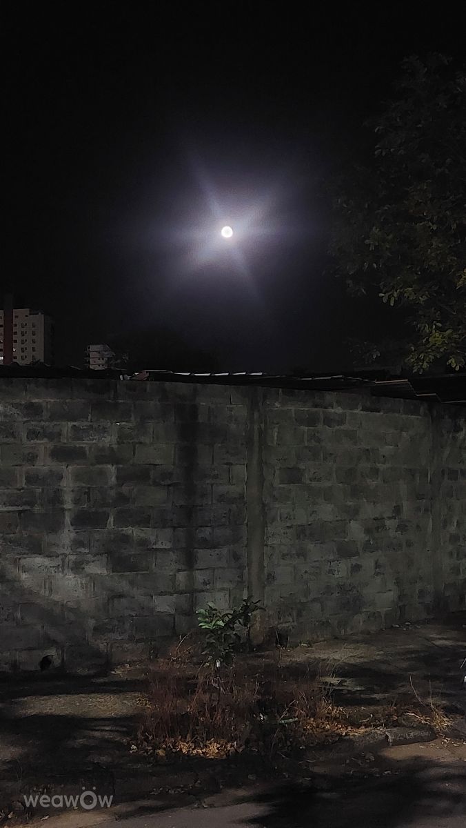 Fotos sobre el clima en Brasil. Pronósticos del tiempo con hermosas fotos de MaluTomazela