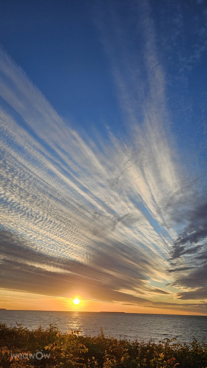 Fotos sobre el clima en Zelenogradsk. Pronósticos del tiempo con hermosas fotos de Stroganov_4
