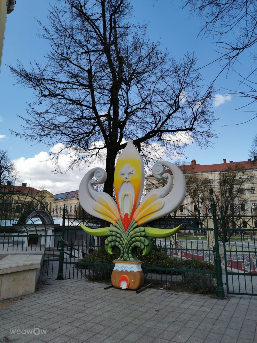 Fotos sobre el clima en Debrecen. Pronósticos del tiempo con hermosas fotos de AttilaSzilvássy