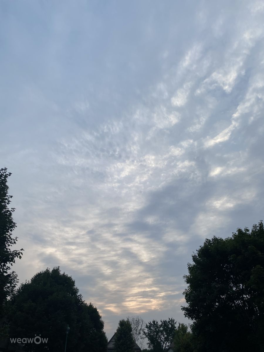 Wetter Photos le Plateau. Wettervorhersagen mit schönen Fotos von Lulu5523